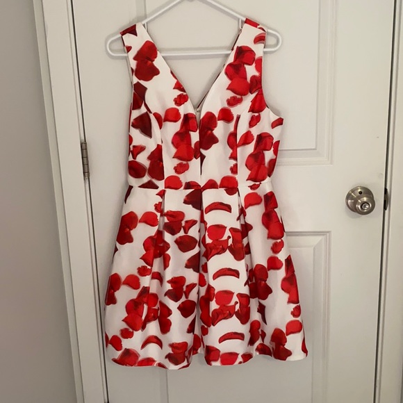 Ark & Co Dresses & Skirts - Stunning red and white floral dress